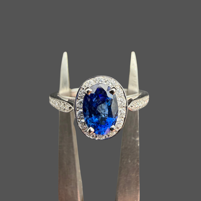 Bague Saphir Ovale Entourage Diamants – Or Blanc 18 Carats